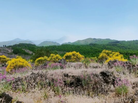 Tourism and nature. The great parks of Sicily
