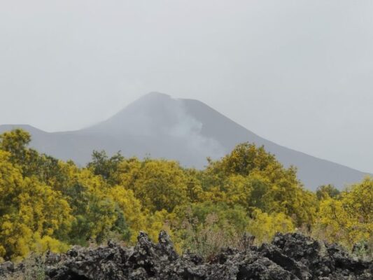 Sulle ali della “farfalla” dell’Etna: cosa è avvenuto durante l’eruzione del Natale 2018