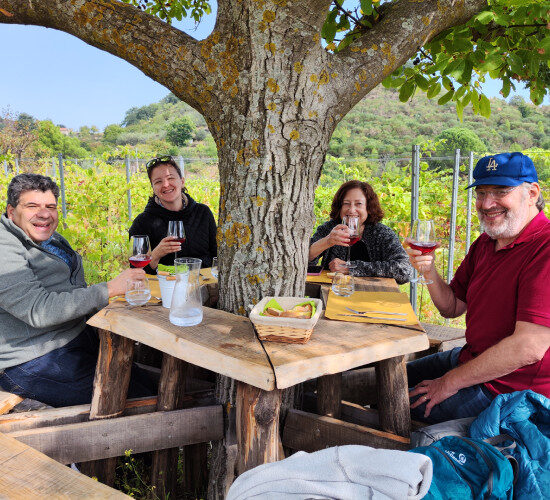 Etna Wine Tour